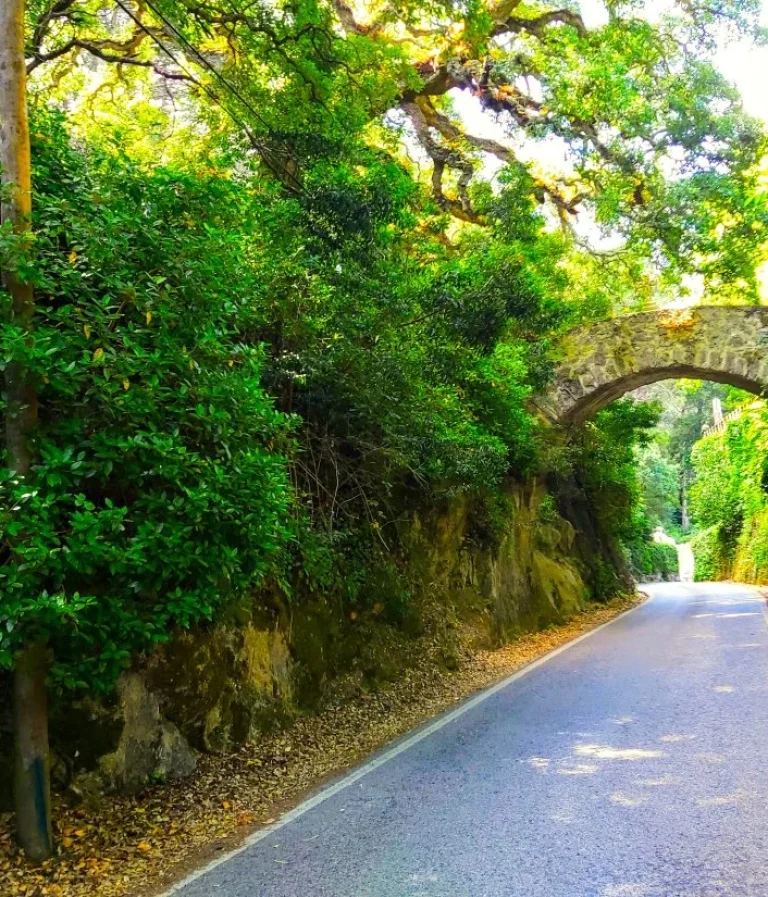 Our Luxury Private Tours - RM CESAR Portugal Luxury Private Tours and Trips